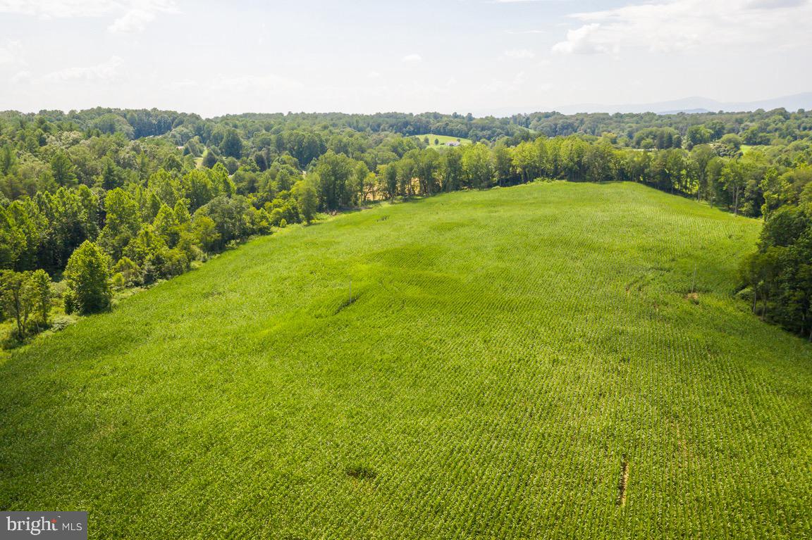 Tbd Orange Rd. Property Photo 30