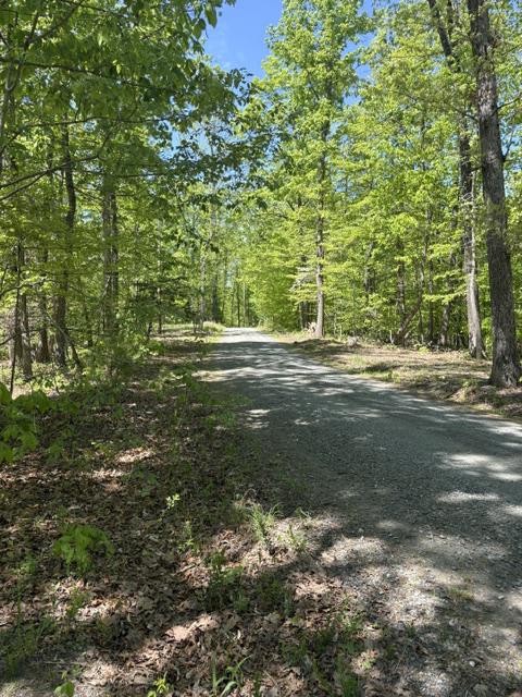 Davis Ln Property Photo 2