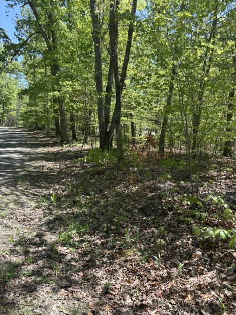 Davis Ln Property Photo 3