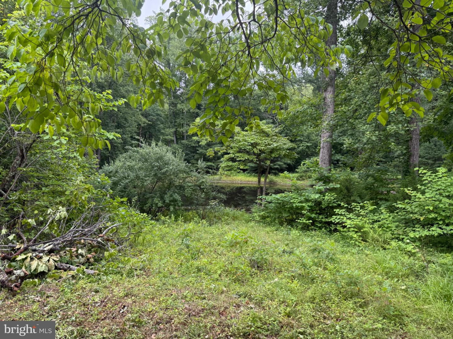 6334 W Hoover Rd Property Photo 4
