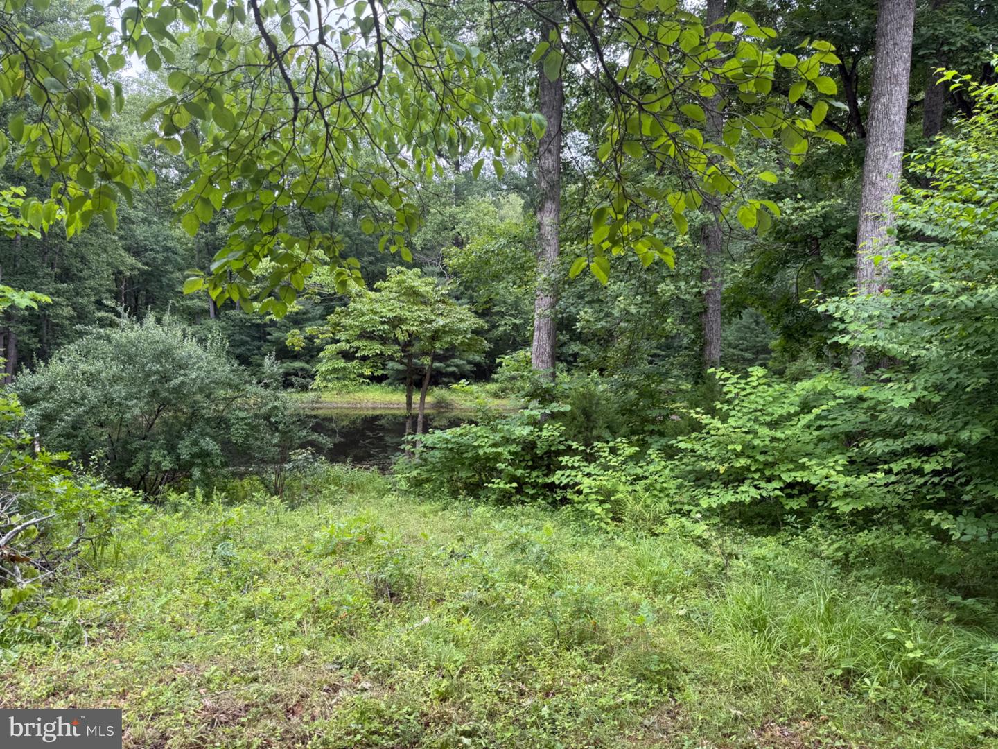 6334 W Hoover Rd Property Photo 5