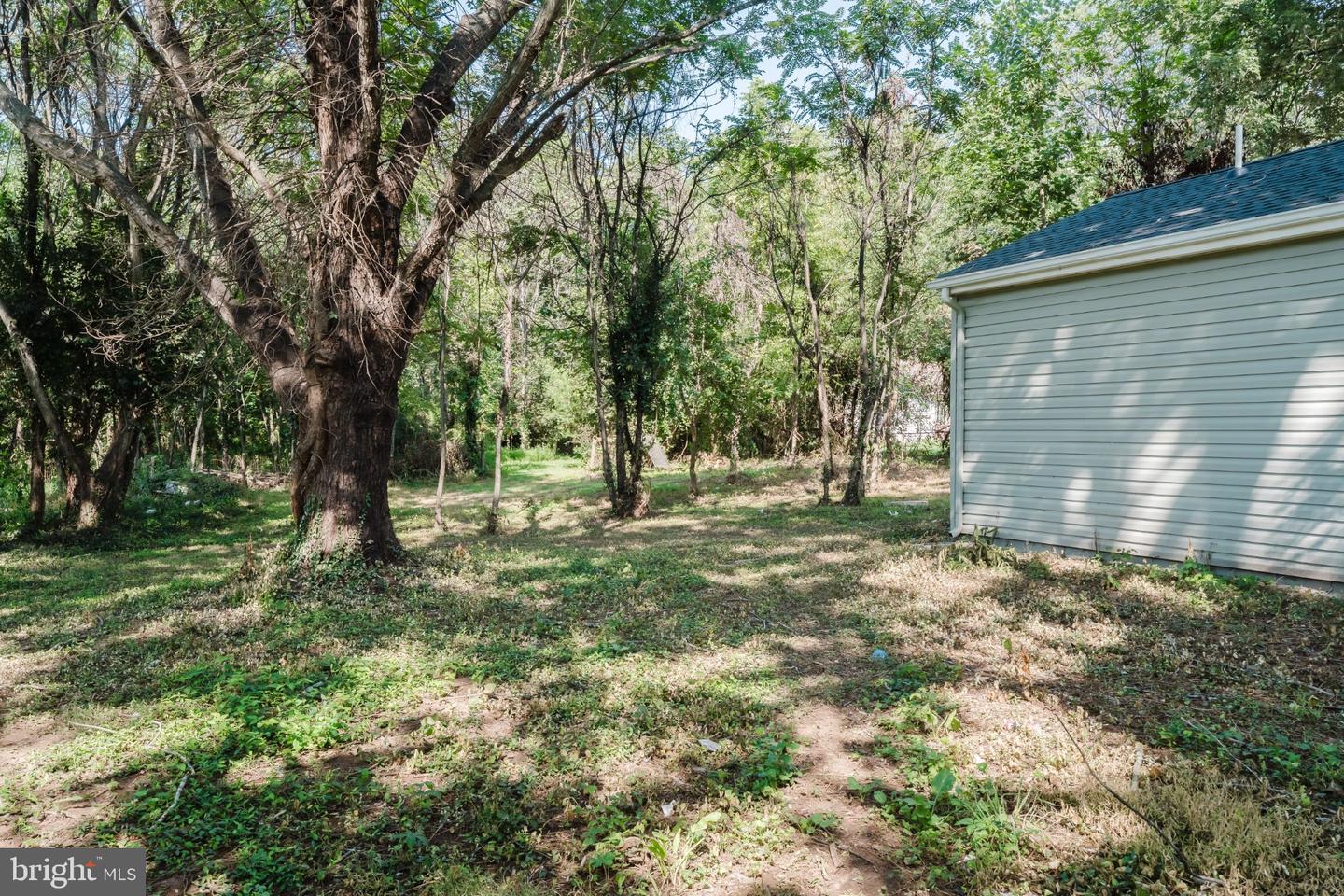 247 Little Church Ln Property Photo 41
