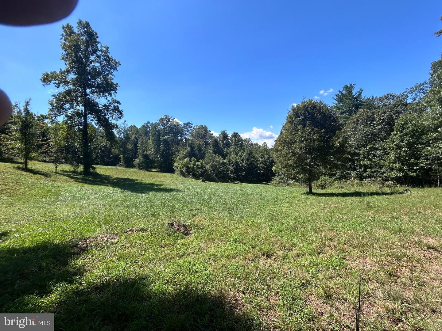301 Dulaney Mtn Rd Property Photo 23