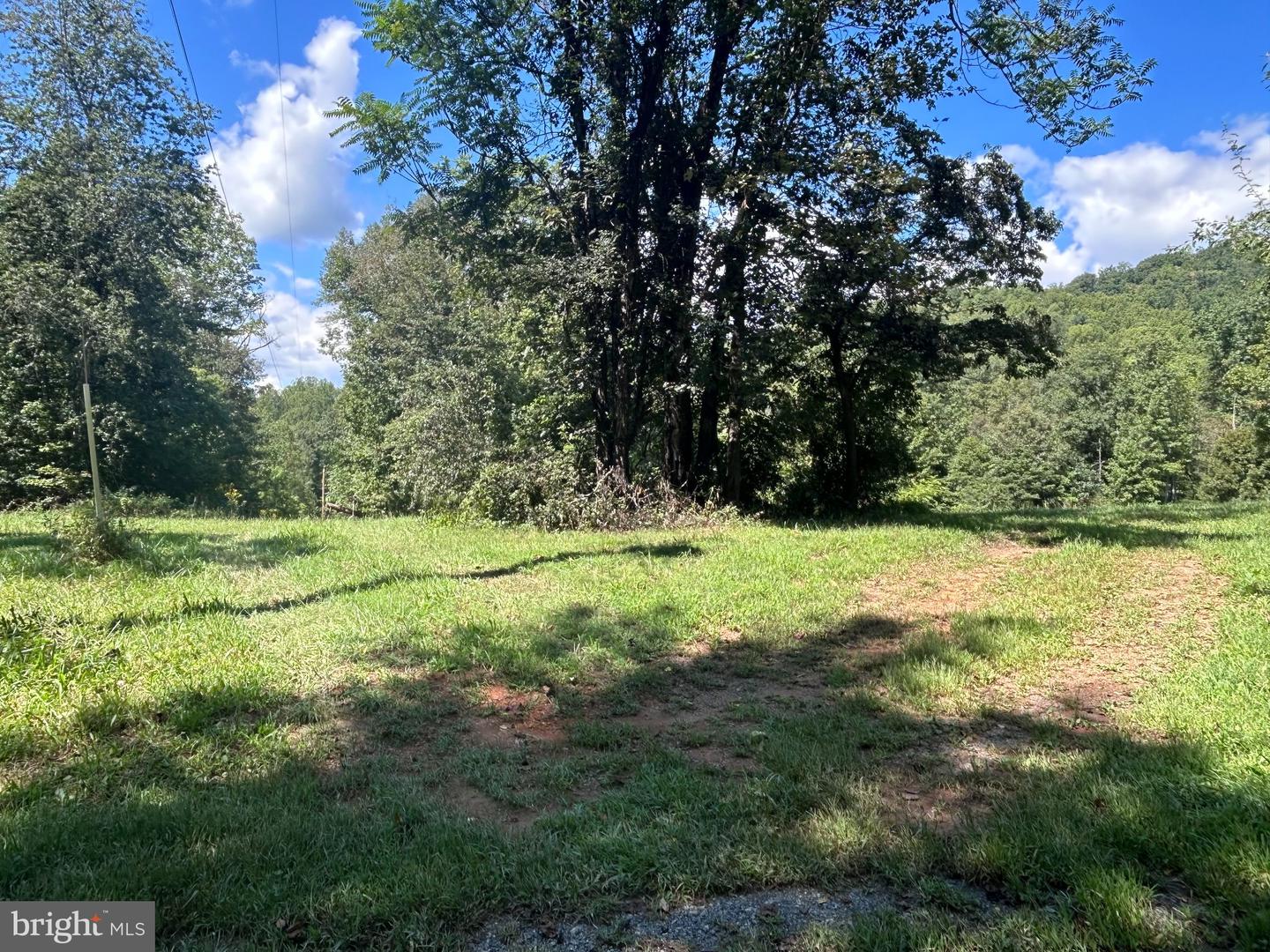 301 Dulaney Mtn Rd Property Photo 26