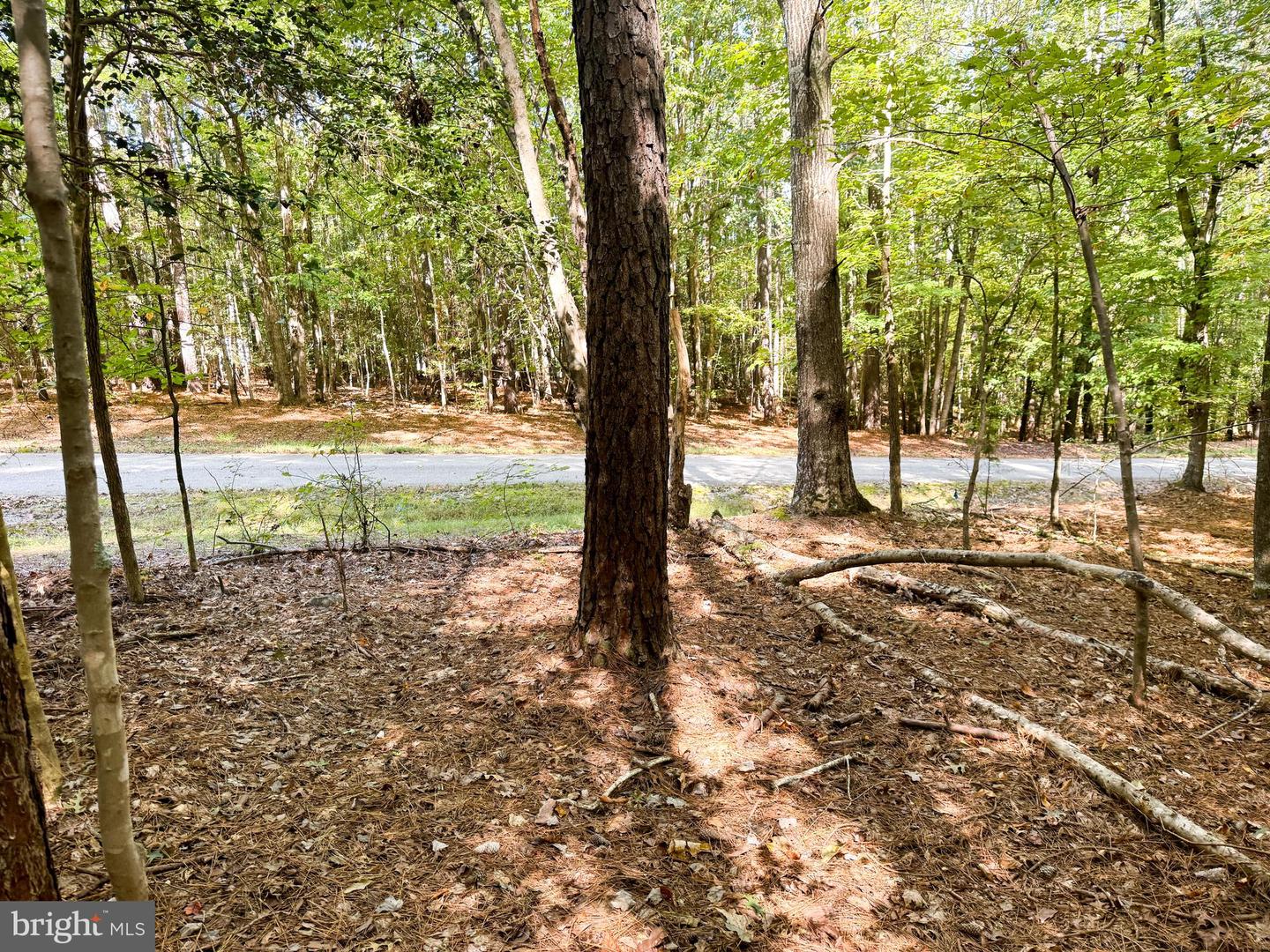 00 Hill Ln Property Photo 6