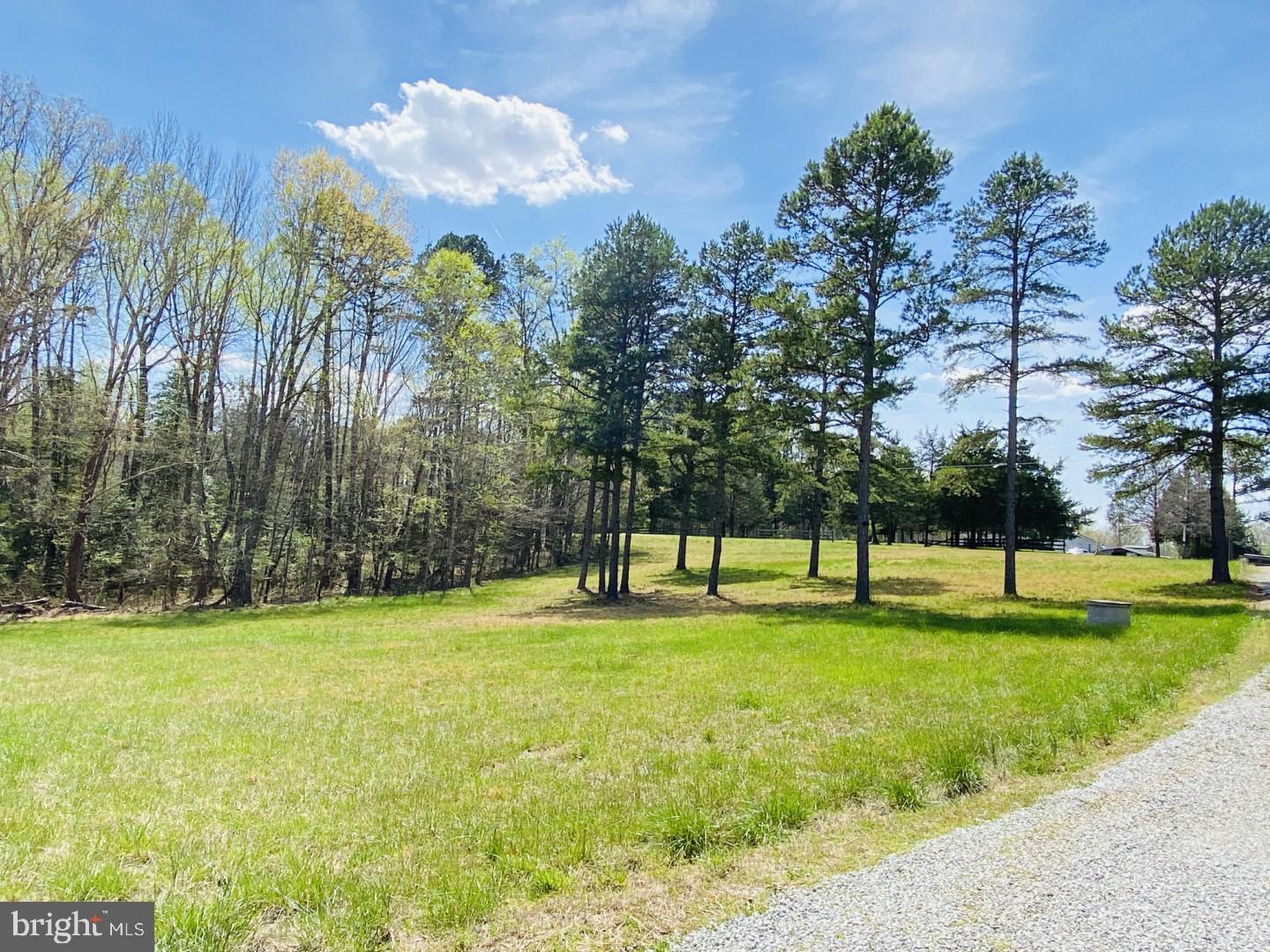 427 Muscadine Trl Property Photo 9