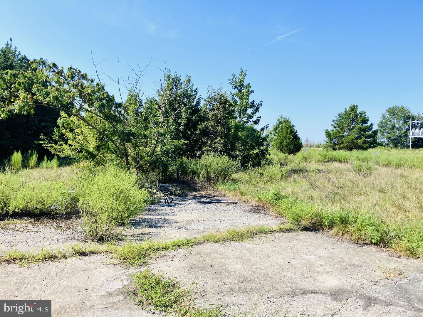 10918 Buggs Island Rd Property Photo 6