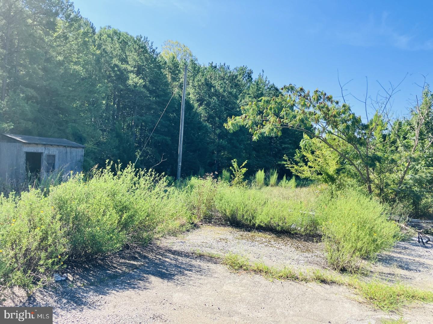 10918 Buggs Island Rd Property Photo 7