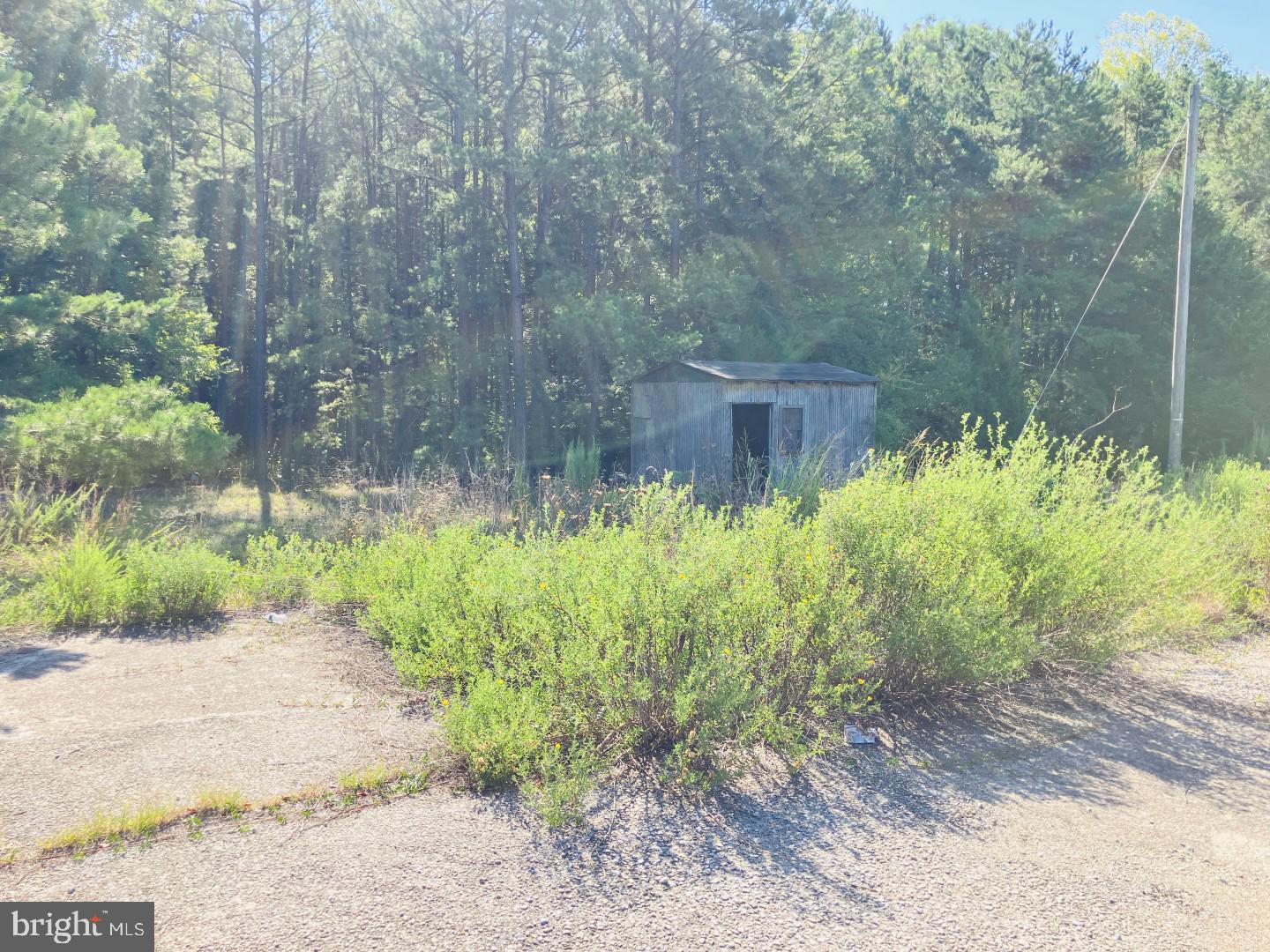 10918 Buggs Island Rd Property Photo 8