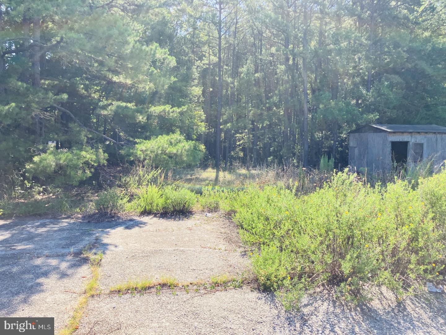 10918 Buggs Island Rd Property Photo 9