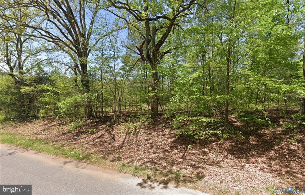 Lot 2 Forksville Rd Property Photo 1
