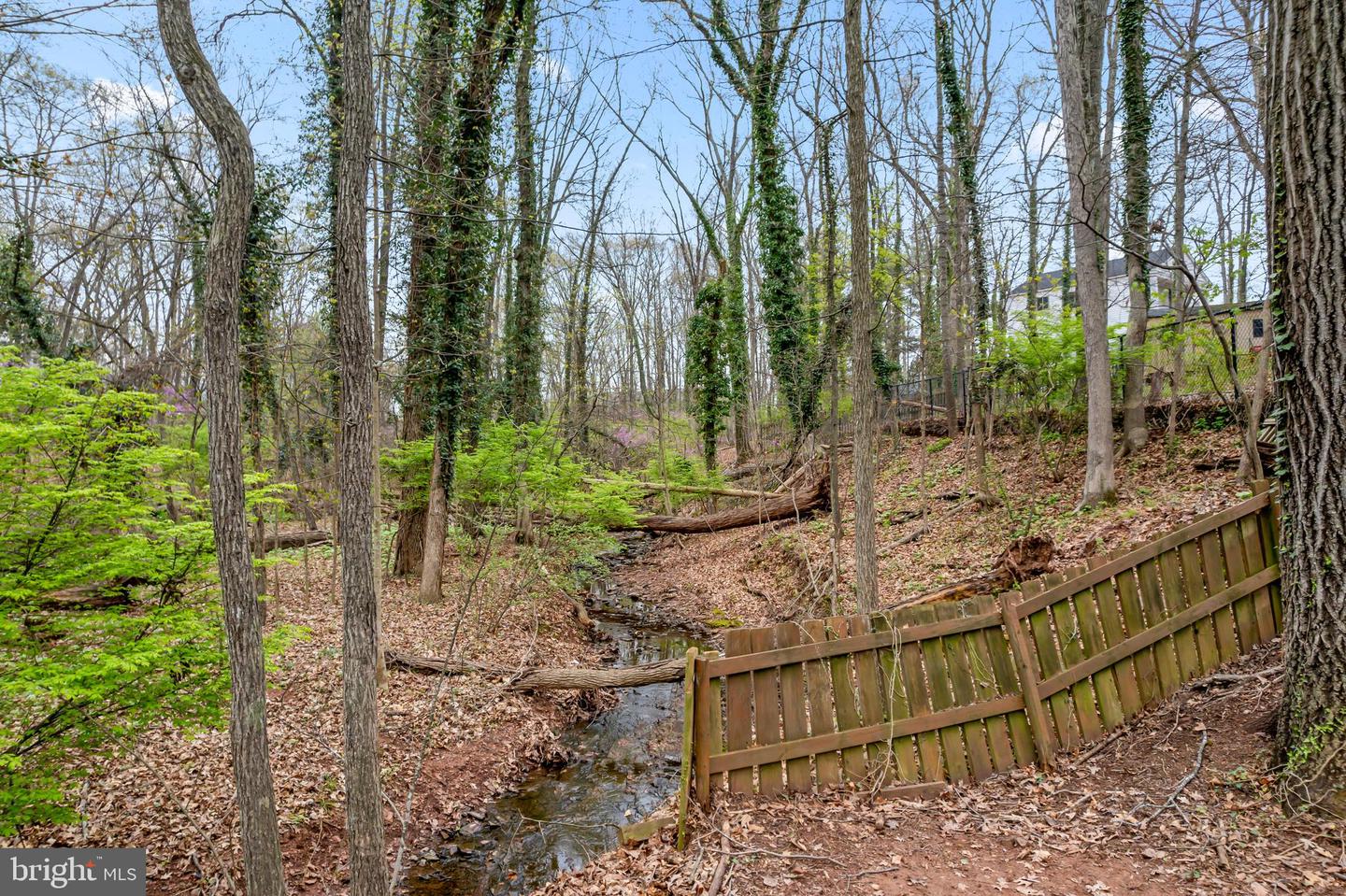 9355 Birchwood Ct Property Photo 49