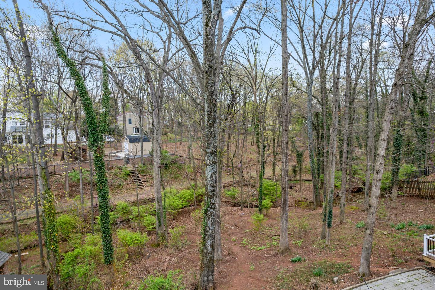 9355 Birchwood Ct Property Photo 50