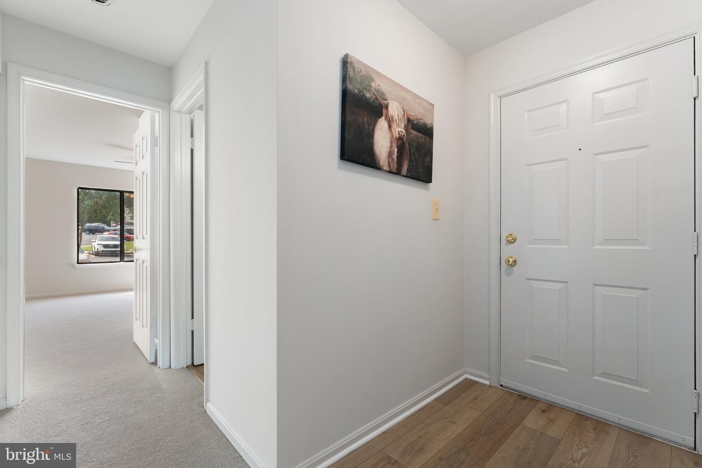 9552 Cannoneer Ct #204 Property Photo 6
