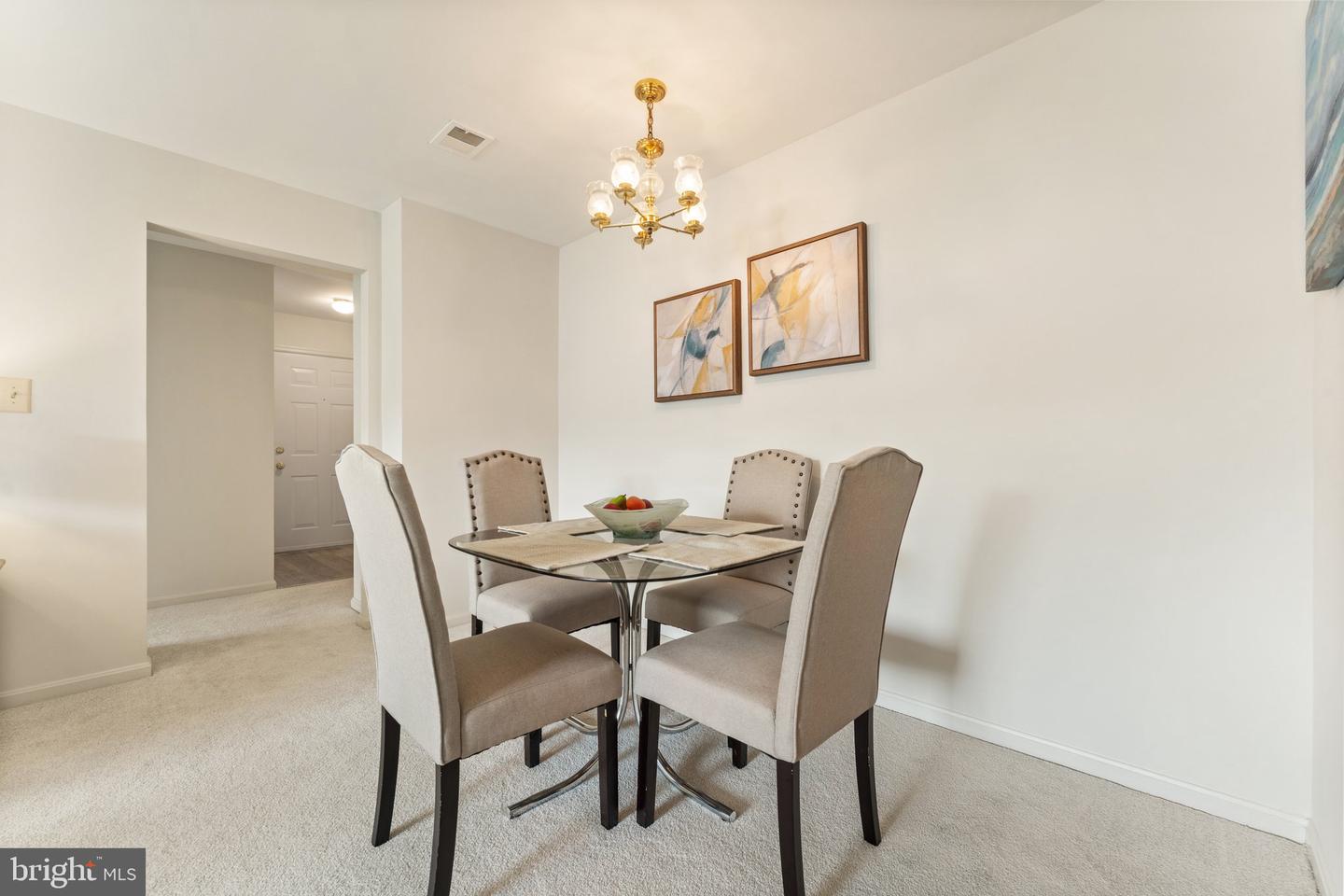 9552 Cannoneer Ct #204 Property Photo 11