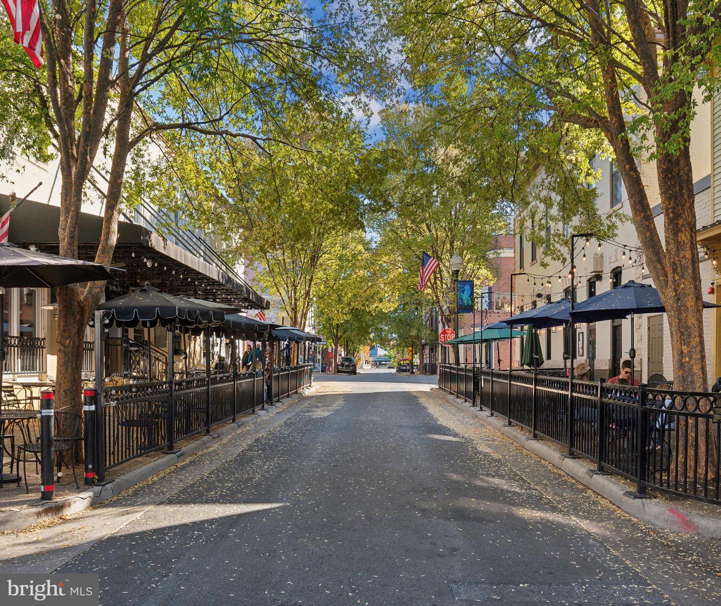 9681 Swallowtail Ln Property Photo 22