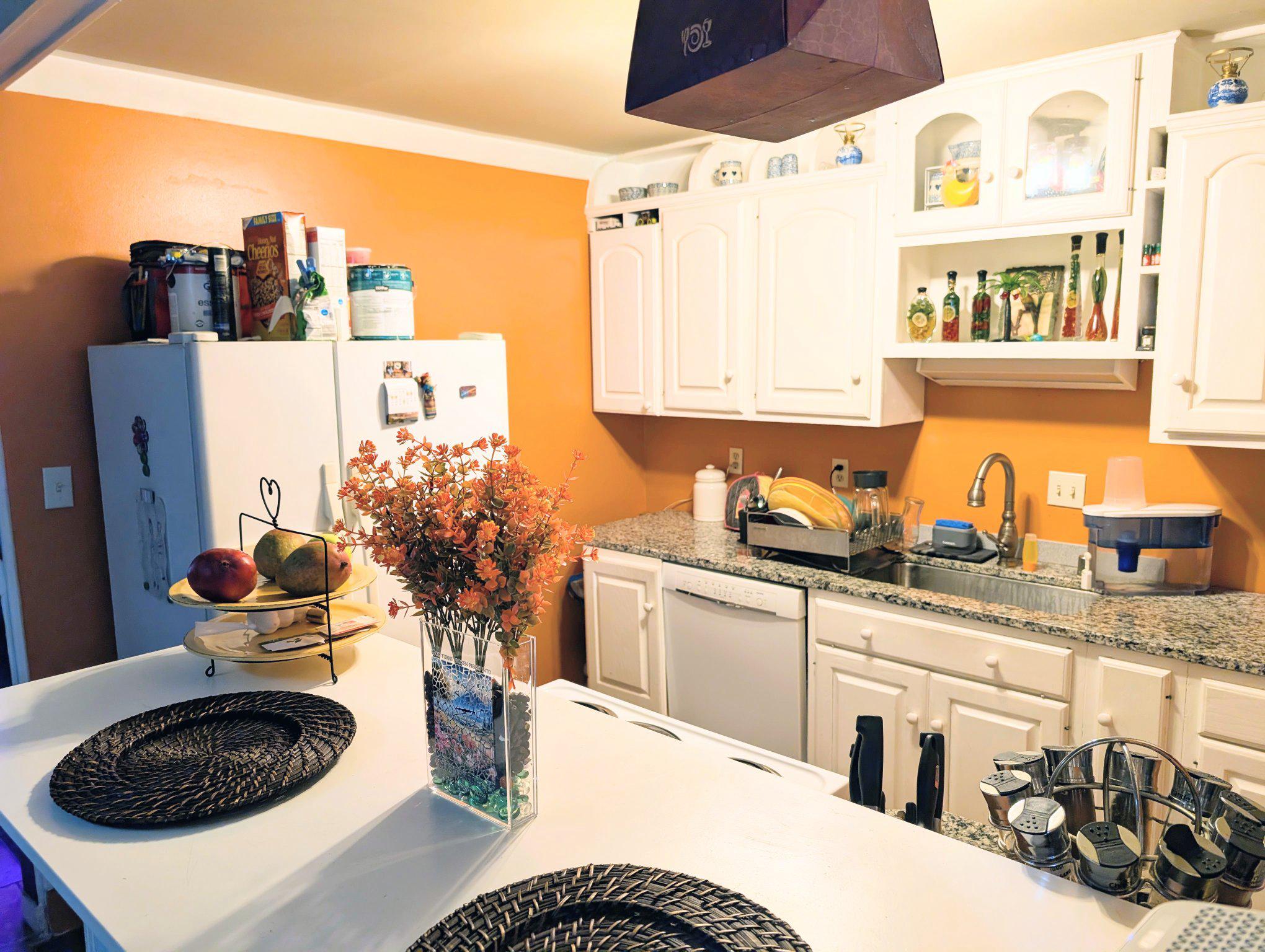 9824 Town Ln Property Photo 17