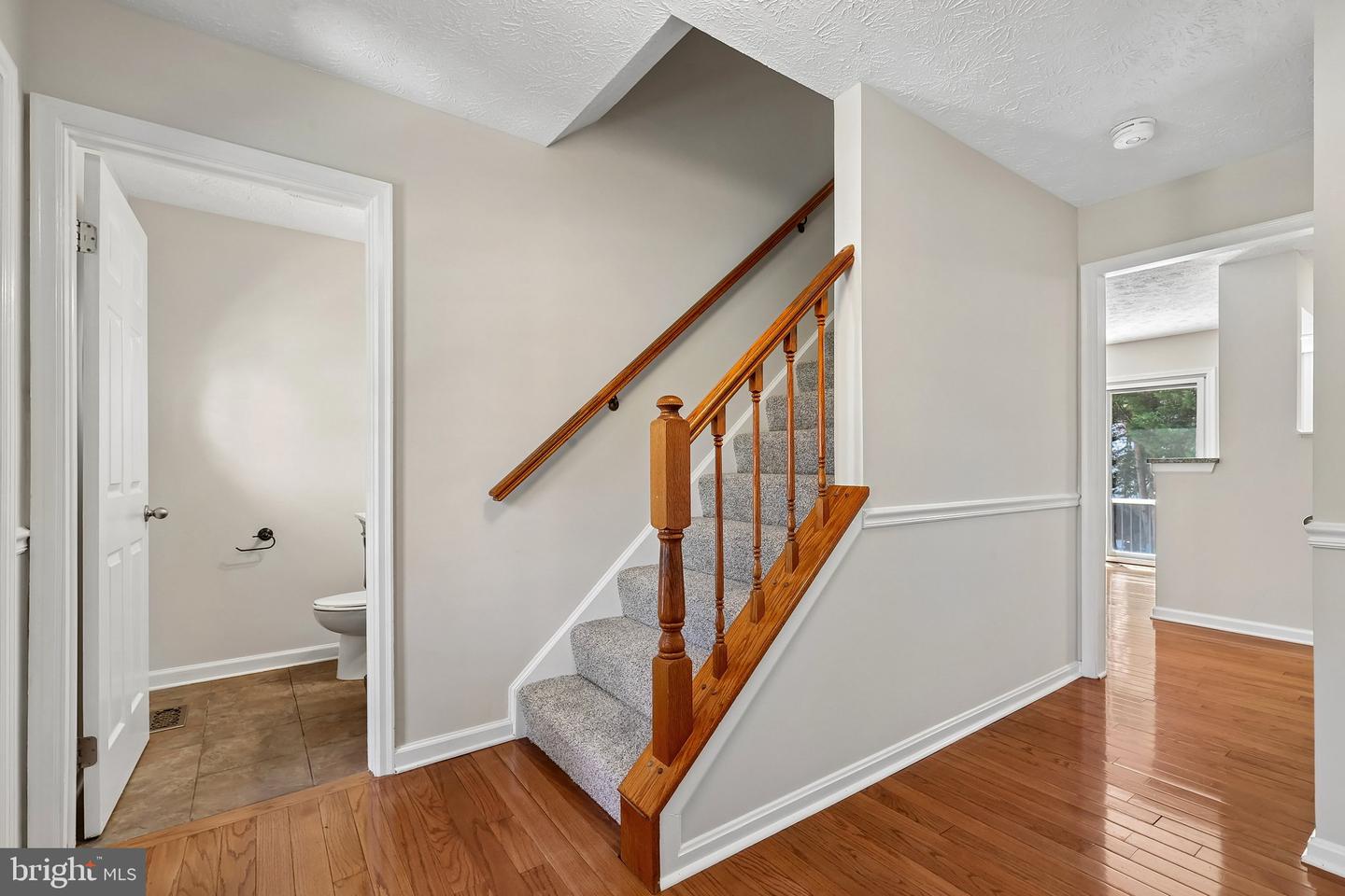 10409 Sorrell Dr Property Photo 3