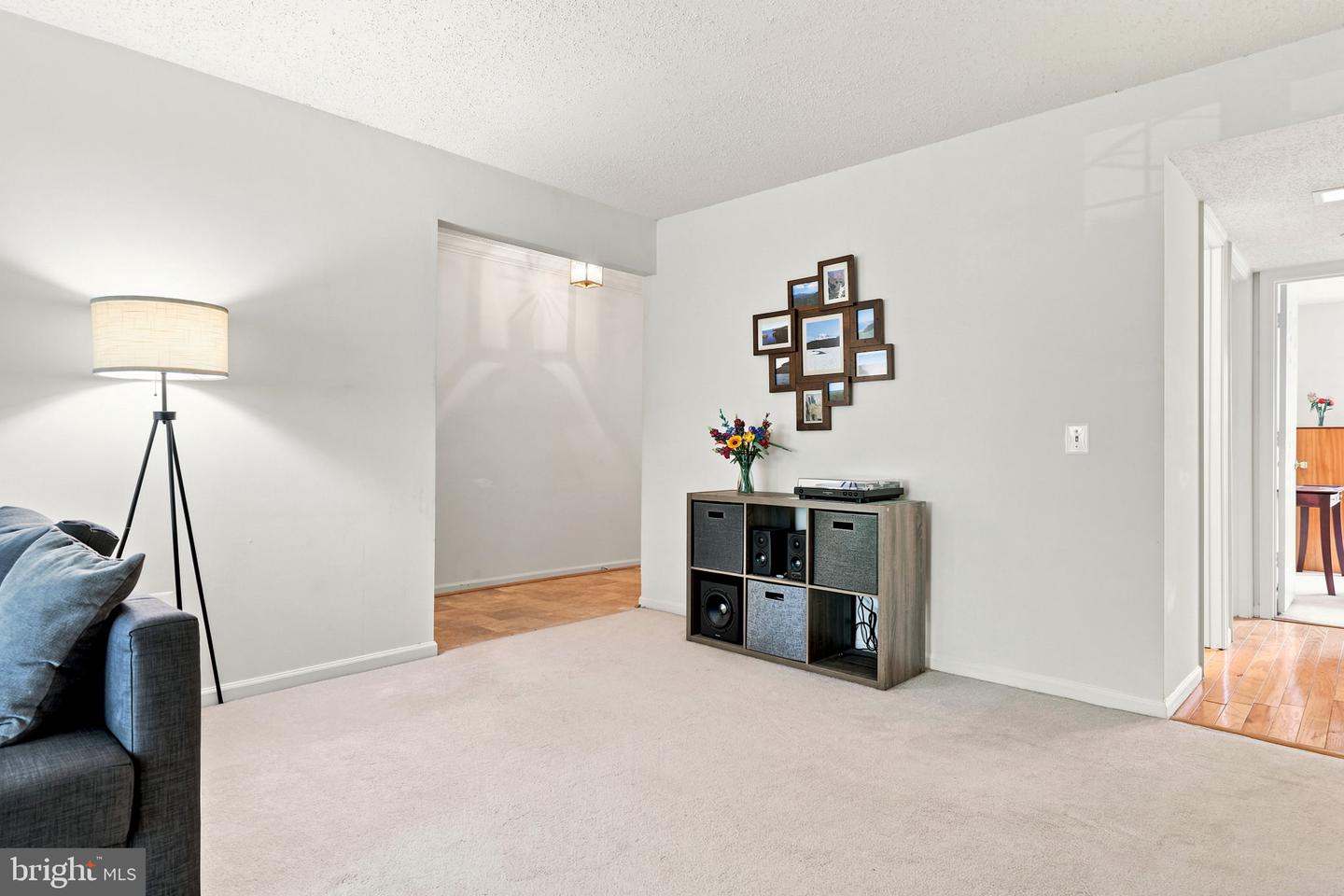 9220 Caspian Way #201 Property Photo 4