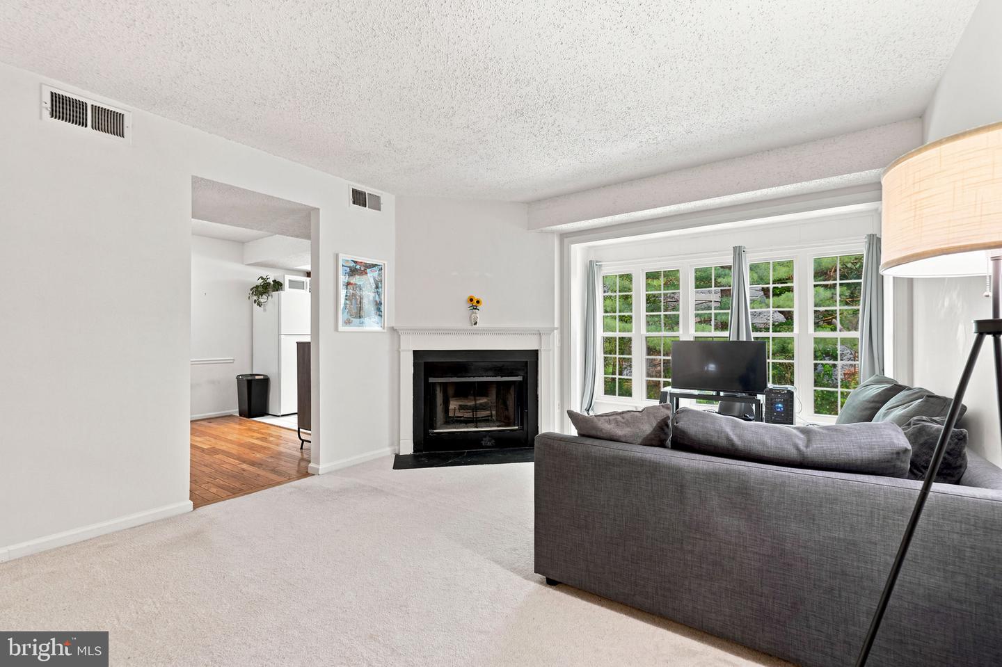 9220 Caspian Way #201 Property Photo 6