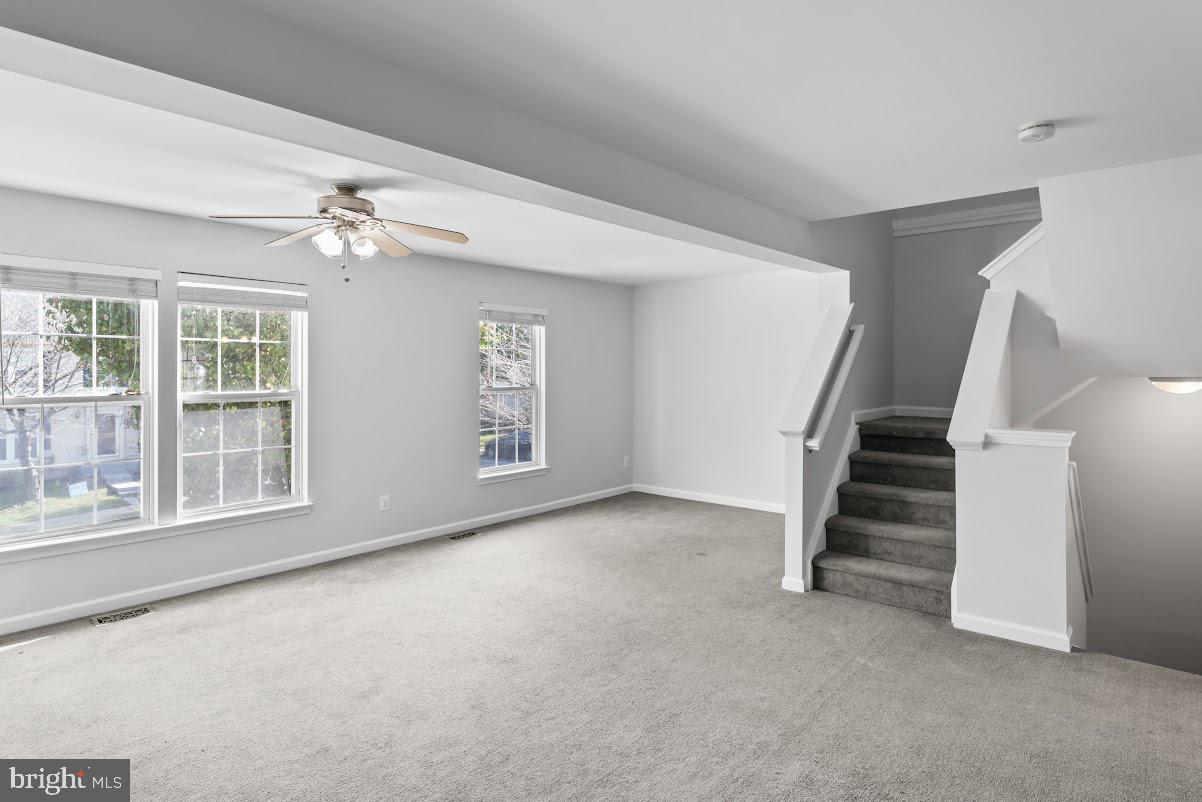 10339 Gent Ct Property Photo 19