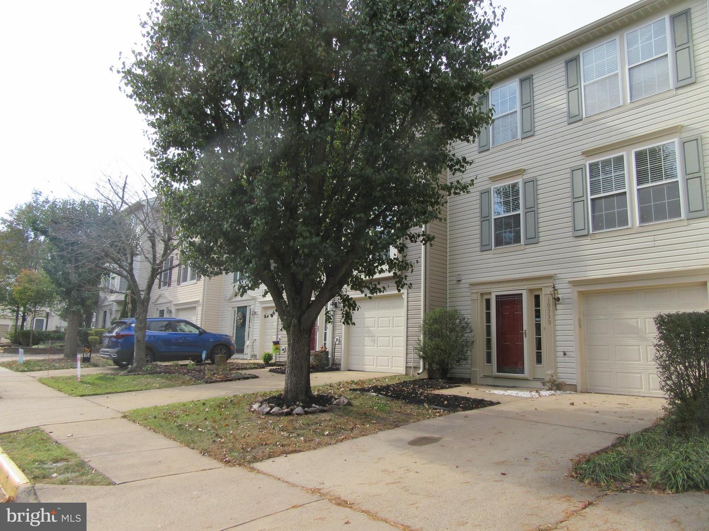 10339 Gent Ct Property Photo 47