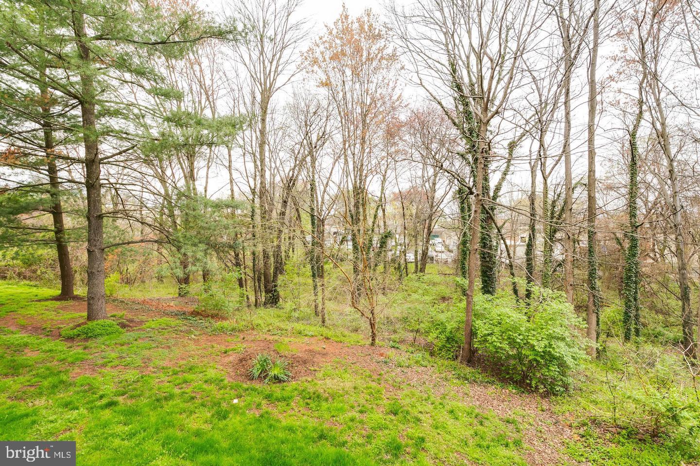 8393 Buttress Ln #202 Property Photo 14