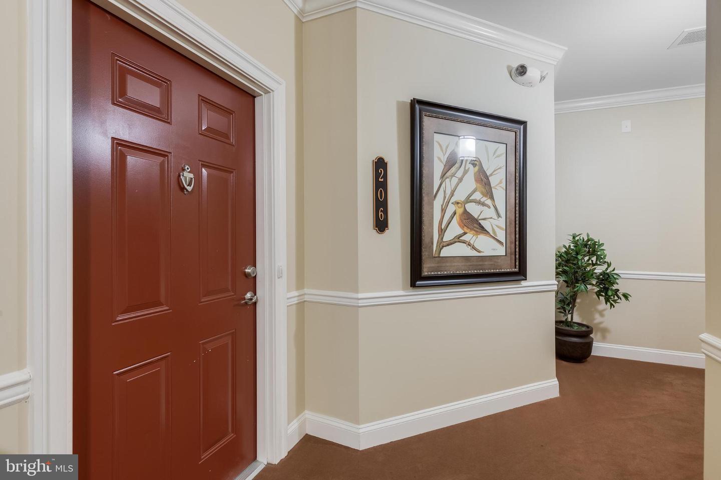 9204 Charleston Dr #206 Property Photo 8