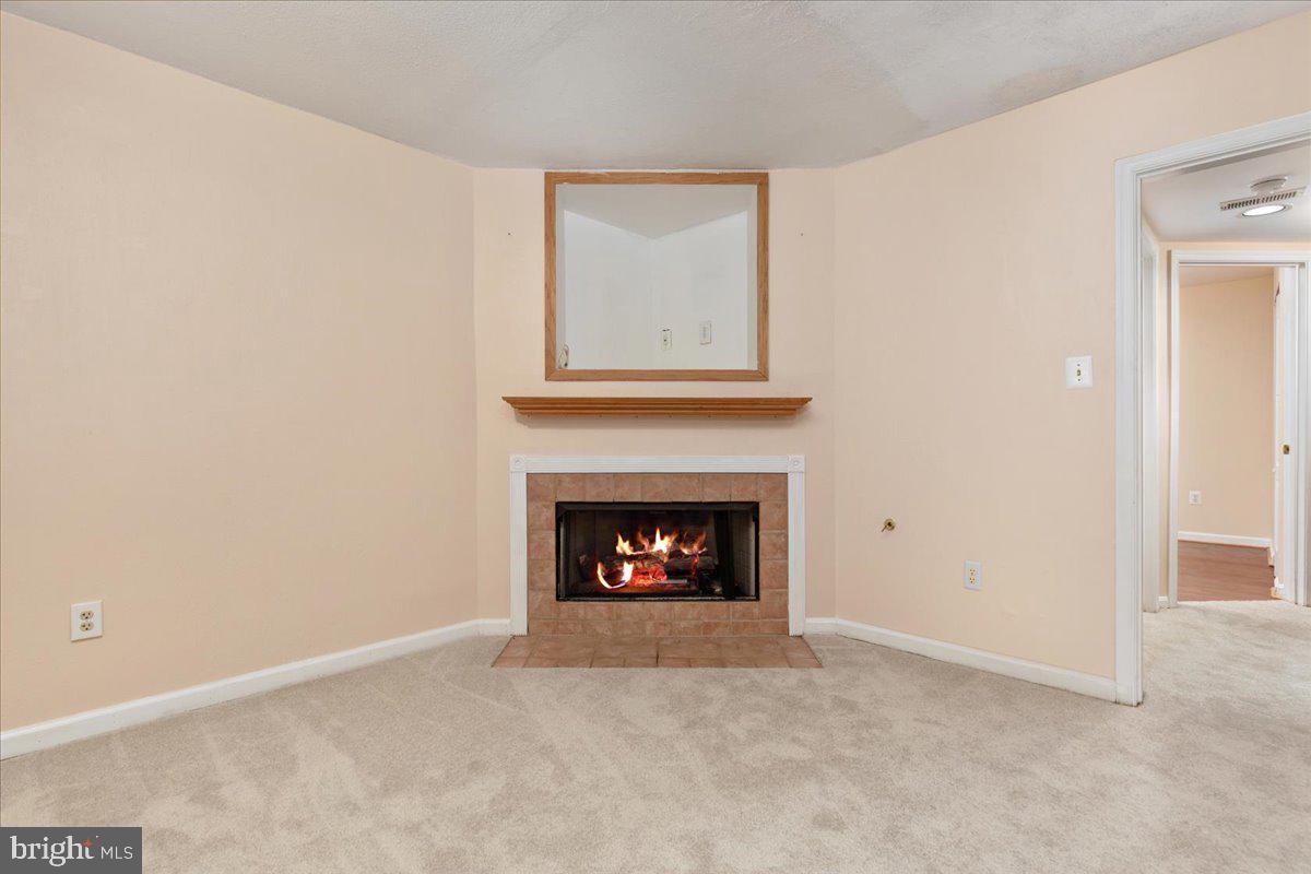 10251 Magnolia Grove Dr Property Photo 28