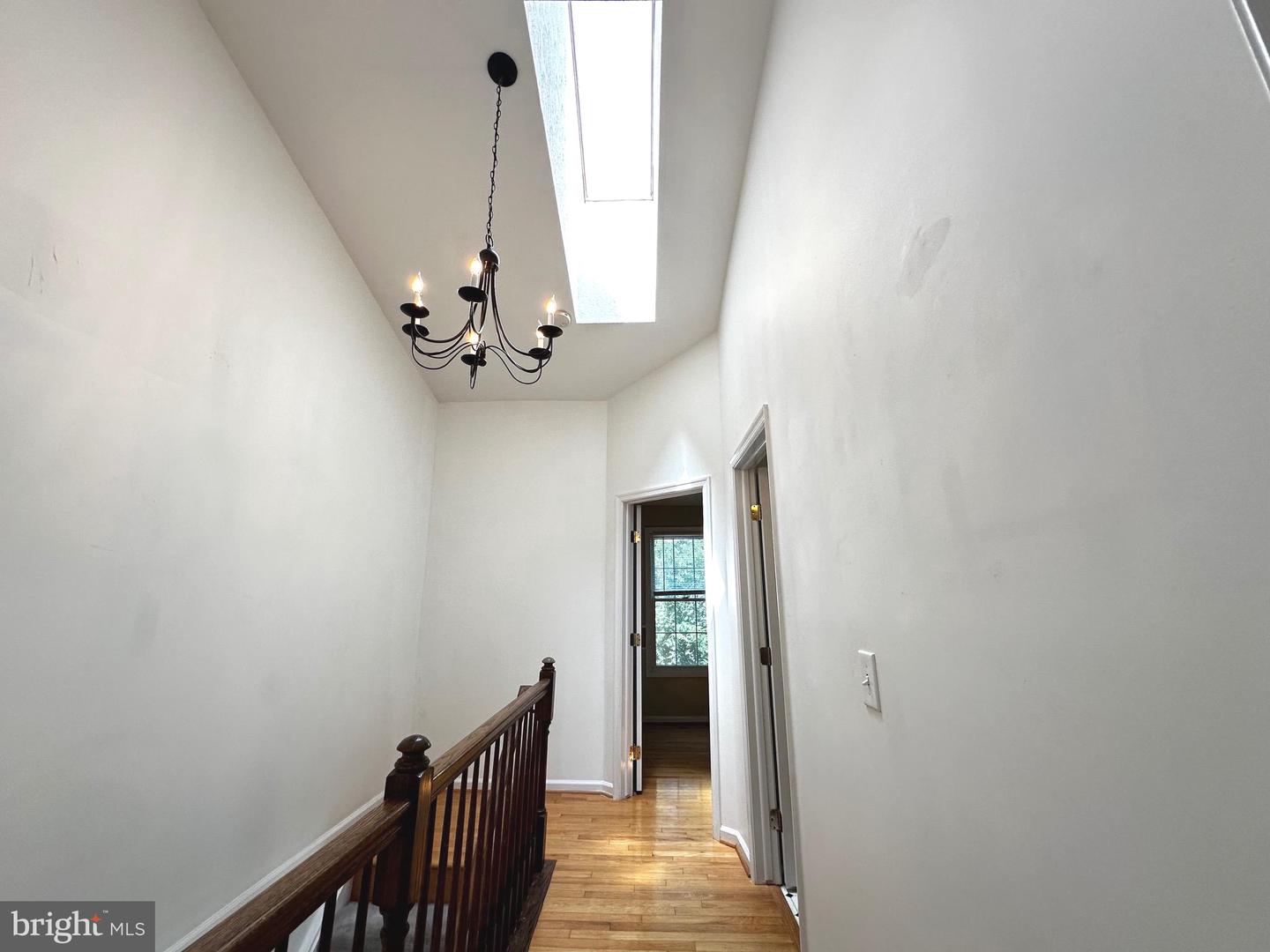 9799 Mock Orange Ct Property Photo 21