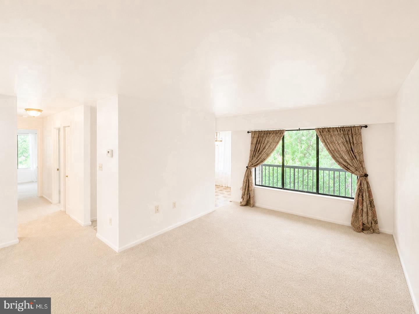 9553 Battery Heights Blvd #202 Property Photo 13