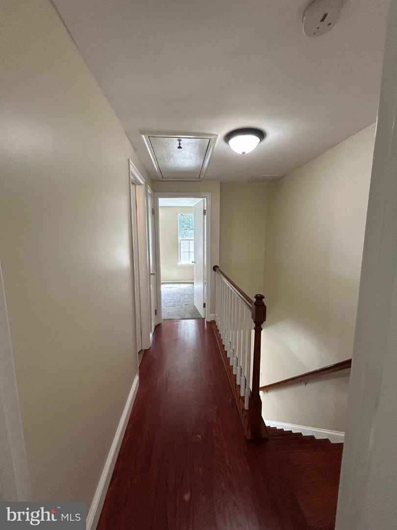 8447 Braxted Ln Property Photo 13