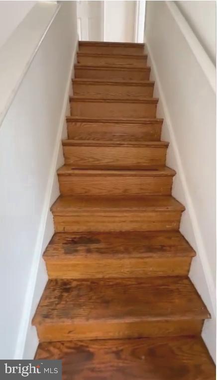 107 Luxor St Property Photo 13