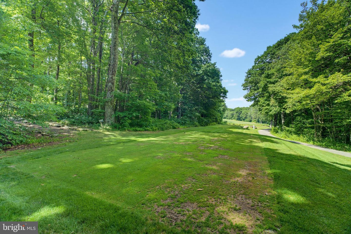 52 Deer Springs Ln Property Photo 3
