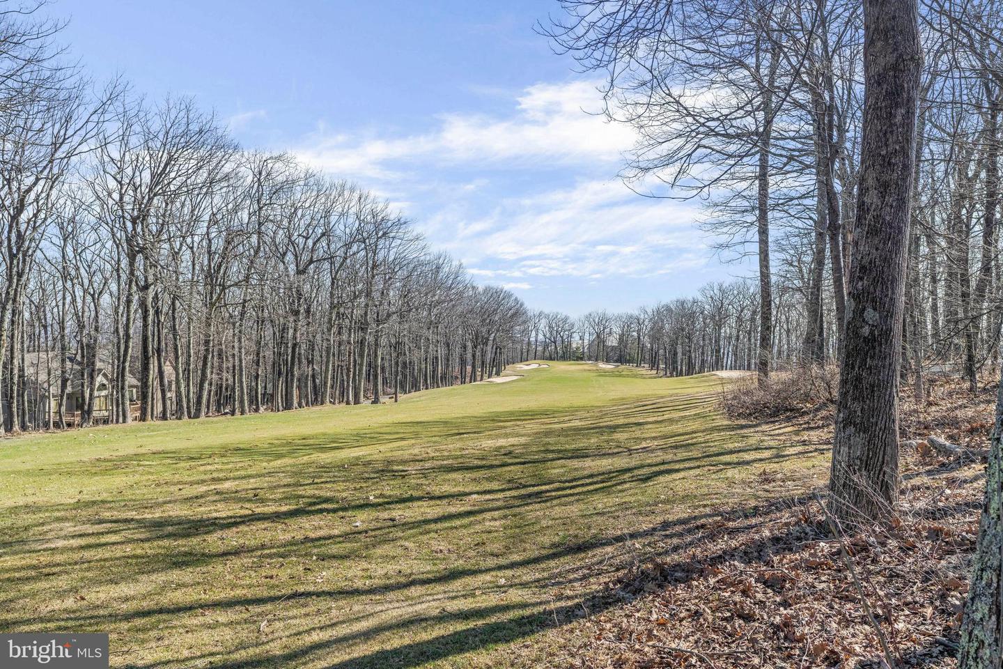 52 Deer Springs Ln Property Photo 109