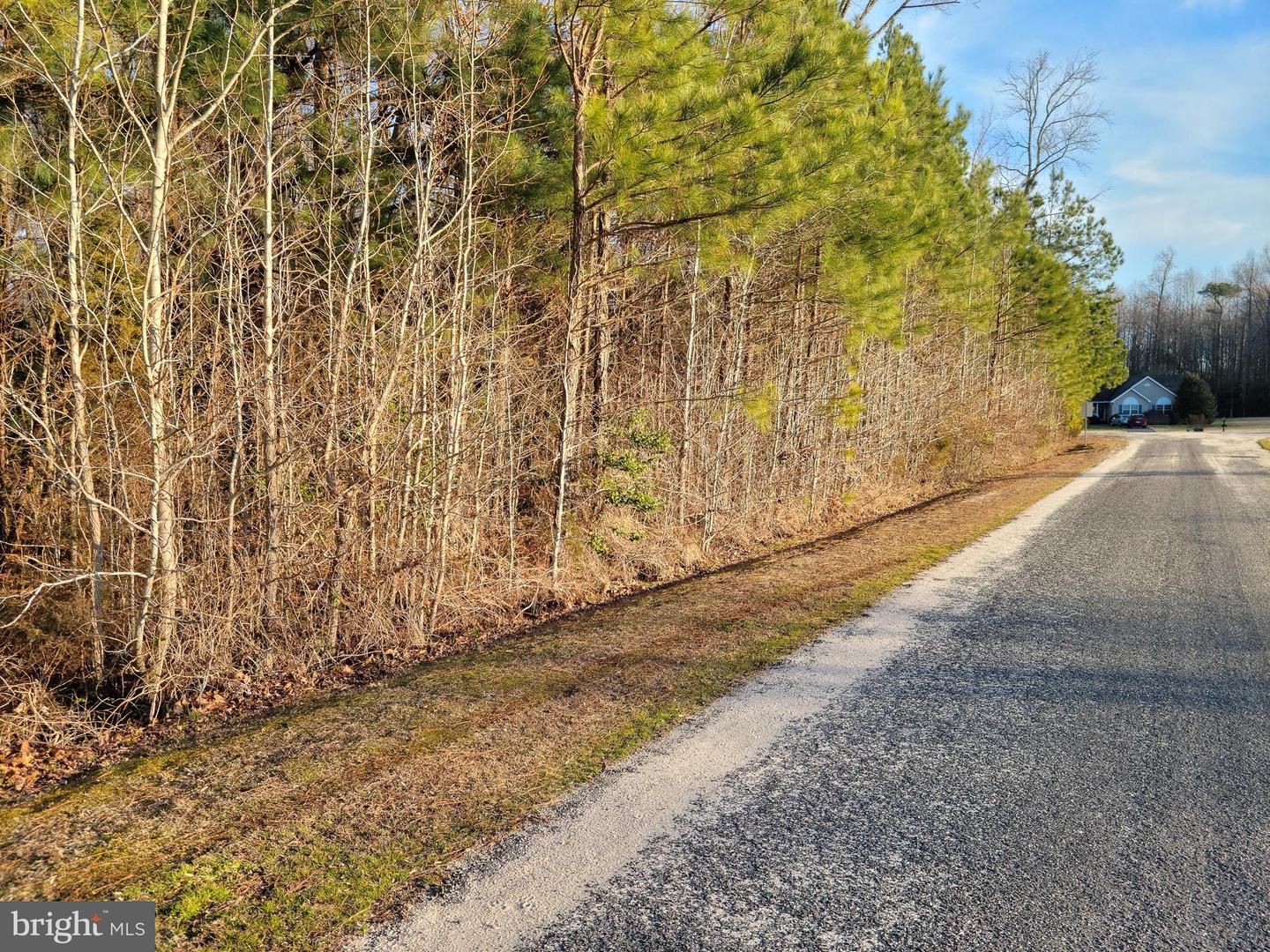 Lot 57 Holly Ct Property Photo 4