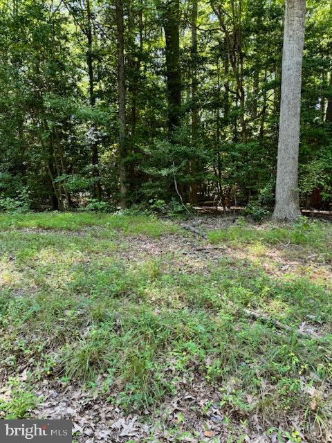 Lot 14 Cod Creek Dr Property Photo 1