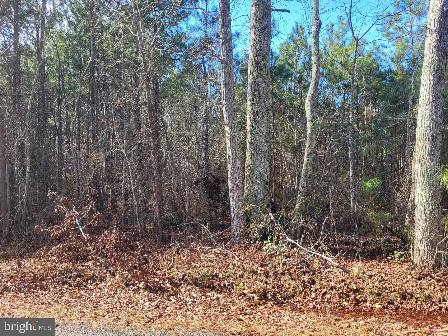 00e Bogey Neck Rd Property Photo 2