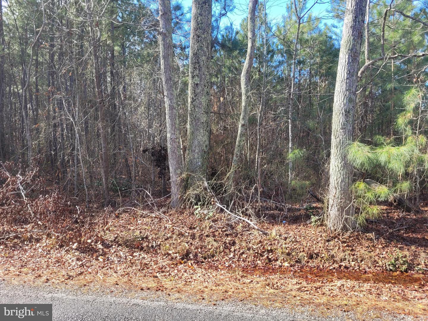00e Bogey Neck Rd Property Photo 3