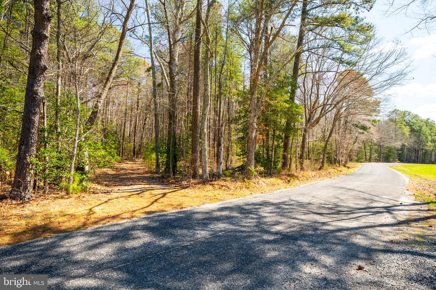 0 Fox Point Road Property Photo 39