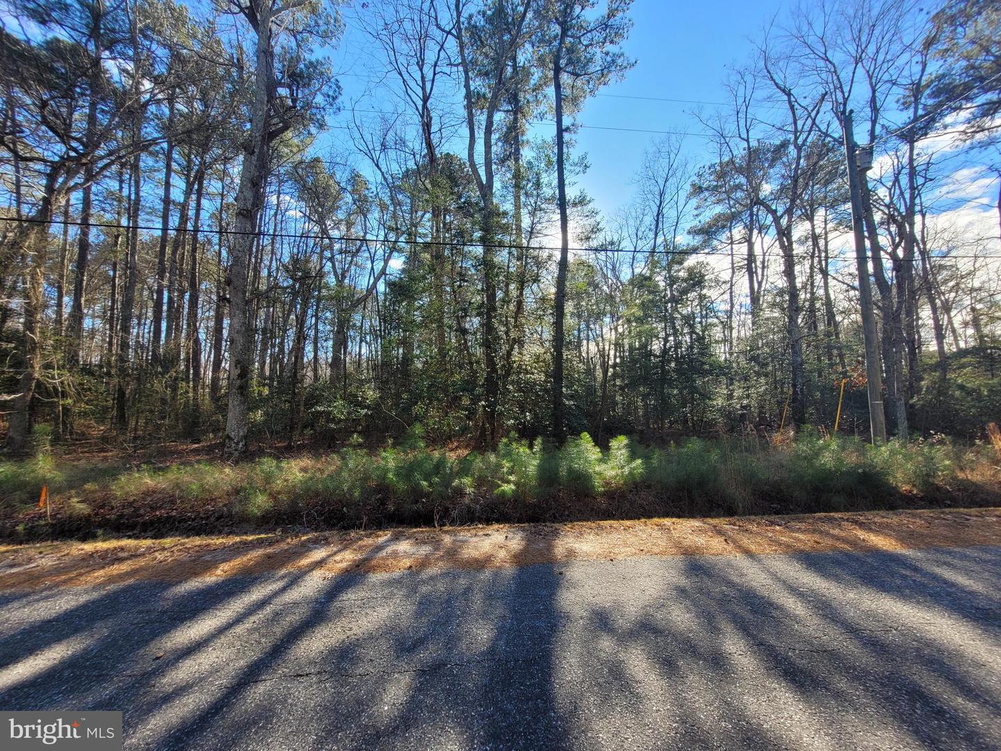00-lot 82 Elmington Place Property Photo 2
