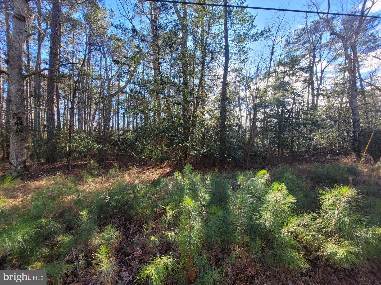 00-lot 82 Elmington Place Property Photo 3