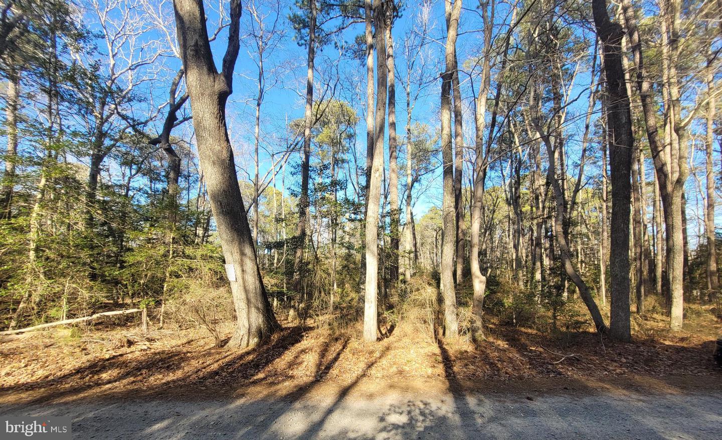 00-lot 82 Elmington Place Property Photo 4