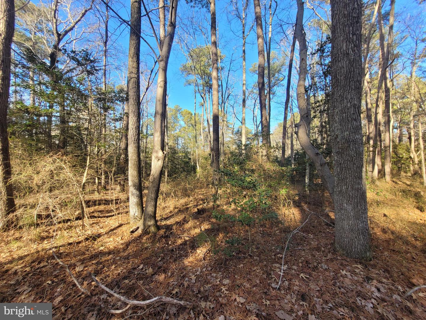 00-lot 82 Elmington Place Property Photo 5