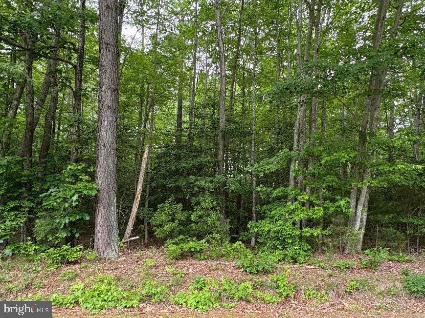 0 Bogey Neck Rd Property Photo 1