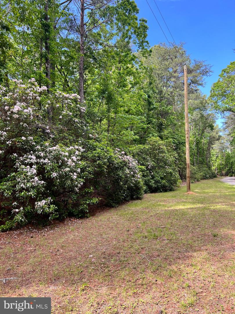 0 HIGH POINT LN Property Photo 1