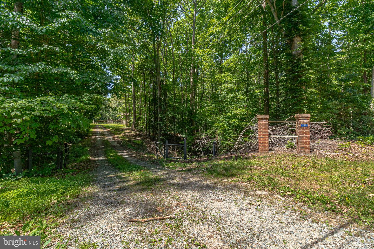 255 Knights Run Rd Property Photo 60