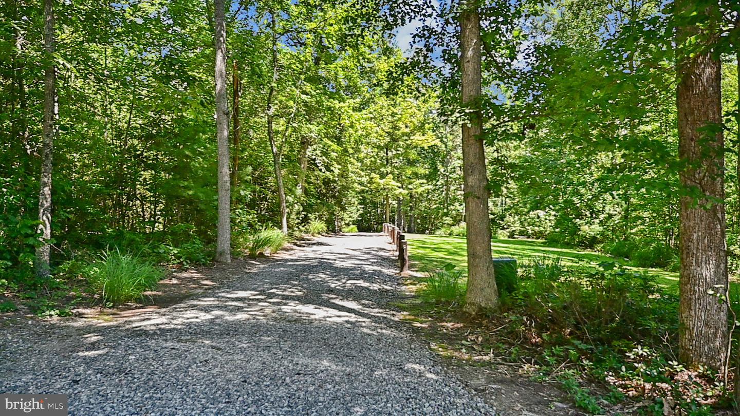 580 Icehouse Cove Ln Property Photo 12