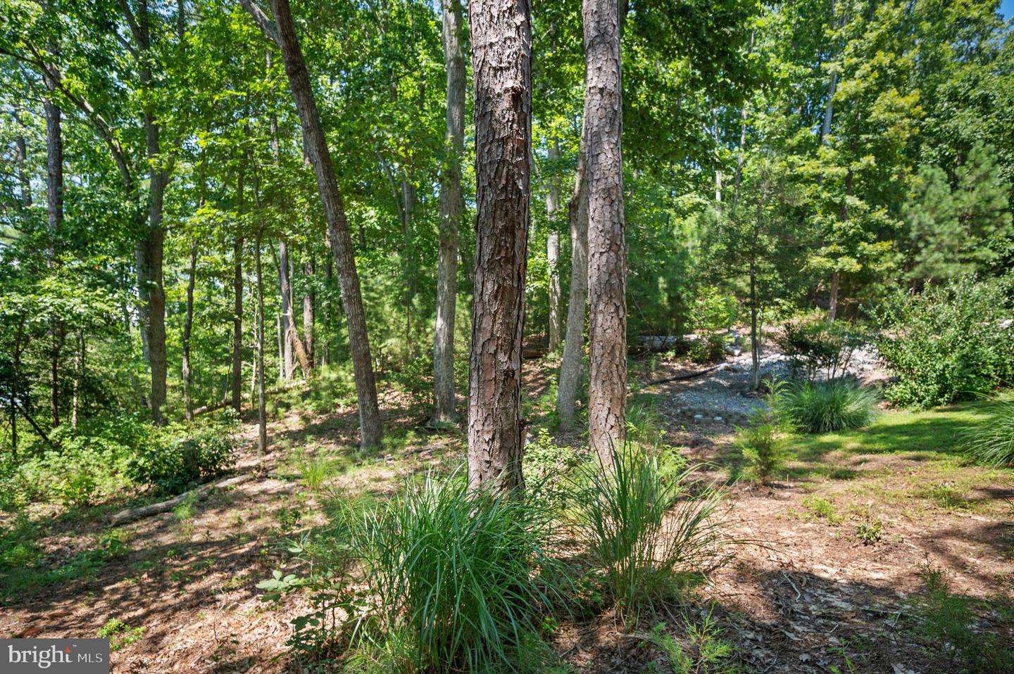 580 Icehouse Cove Ln Property Photo 19