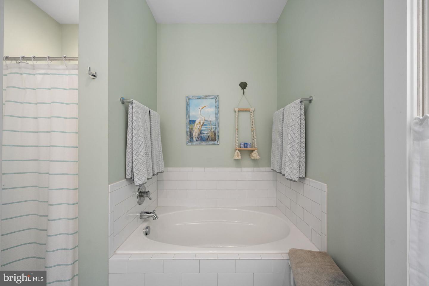 580 Icehouse Cove Ln Property Photo 42